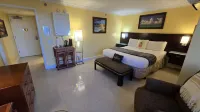 Affordable Luxury in Waikiki