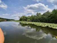 Quiet vacation home between Müritz and Kölpinsee