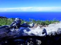 Finca El Lance the green oasis in the north of Tenerife