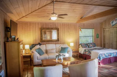Quaint Pool House in Tropical Setting Hotels near South Florida National Cemetery