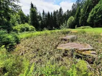 High-altitude vacation apartment with stunning views Hotels in Sankt Oswald-Riedlhütte