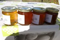 House in Columbage  Fully Renovated Between Strasbourg and Colmar