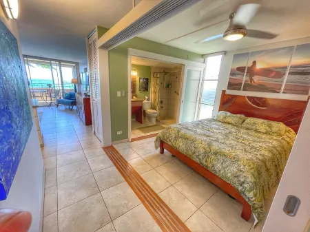 Mermaid Cove Breathtaking Ocean Views 2 bdrm 2 bath