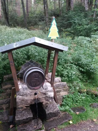 Apartment cinnamon and sugar with a view of the mountains Отели в г. Санкт-Андреасберг