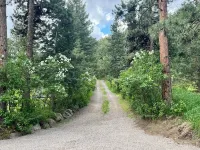 Cozy Cabin Near Boulder with Wildlife and WiFi