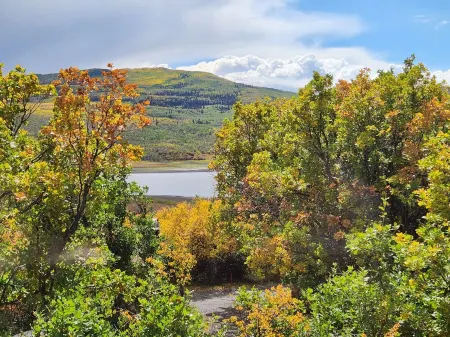 Soak in Some Summer Fun, Hot Tub, Hiking, Biking, Sxs Adventures, and Much More!