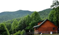 Deer Country Vacation Cabins #3 - Long Range View, Dogs Friendly