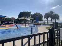 Adventure Awaits in This Pet Friendly Tour Bus Conversion!