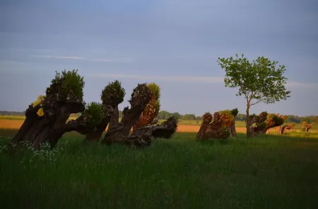 Behindertenfreundliche Ferienwohnung mit Blick auf den Elbedeich
