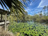Lily Pad  3 bedrooms and 2 baths
