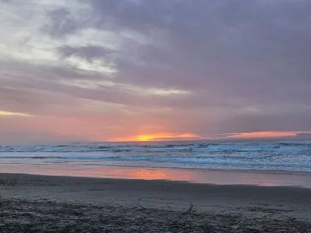 Cozy Tiny-Home with Big Heart! BBQ, 2Beds, Wifi, Pet Friendy!