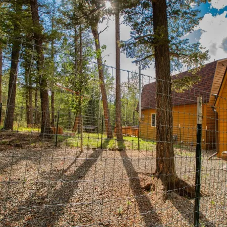 NEW Updated, SUNSETCABIN:3 bd,1.5 bth, secluded, beautiful views, deck, sleeps 6