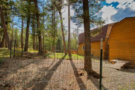 NEW Updated, SUNSETCABIN:3 bd,1.5 bth, secluded, beautiful views, deck, sleeps 6