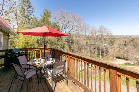 Pet-Friendly Mountain View Cottage - Large deck & views of Blue Ridge Mtns.