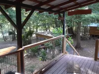 Bowman's Landing Spring House on the Santa Fe River