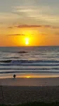 Sunshine Daydream in the heart of Flagler Beach