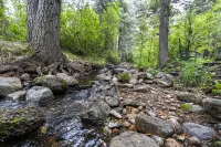 Rustic Cozy Cabin at the Base of Greenhorn Mountain.