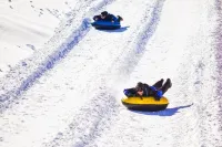 Little Mammoth Condo - Bike or 5 min walk to ski lifts!