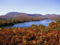•New• Tiny Home Getaway Hotels in Hogback