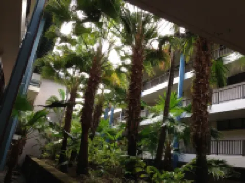 Quite Simply THE BEST Kona Reef Oceanfront. 霍盧阿洛阿酒店