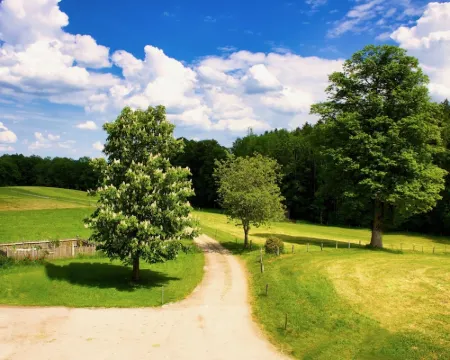 Ferienwohnung Singer "zum Nachbarn" ヴァッカースベルクのホテル