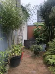 Jungle house