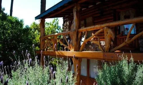 Cabañas Mapuche