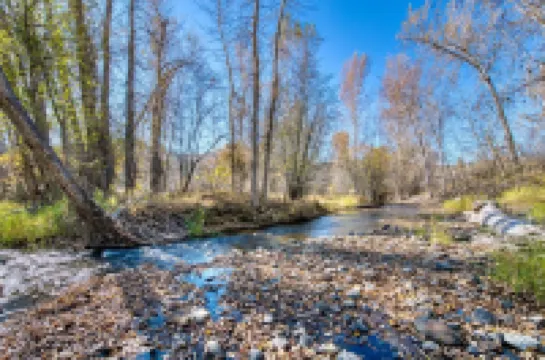 Tranquil Cabin on Sleeping Child Creek