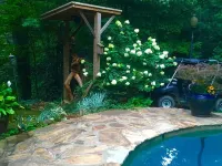 Summer Special - Cozy, Private Cabin, Mountain View, Pet Friendly