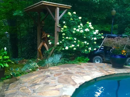 Summer Special - Cozy, Private Cabin, Mountain View, Pet Friendly