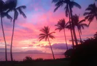 Pool View, 5Min Walk to Charley Young or Kam 1  Beach, Comfortable King-Bed. AC - 2つ星