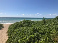 Serene Setting on the Platte River