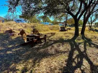 Lawrence's Tree Haus on the Llano River