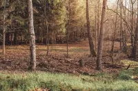 Steel Nest- a charming 2-bedroom container house Rockbridge