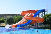 Andriake Beach Club - sul mare