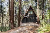 Cozy A-Frame High in The Tree Tops