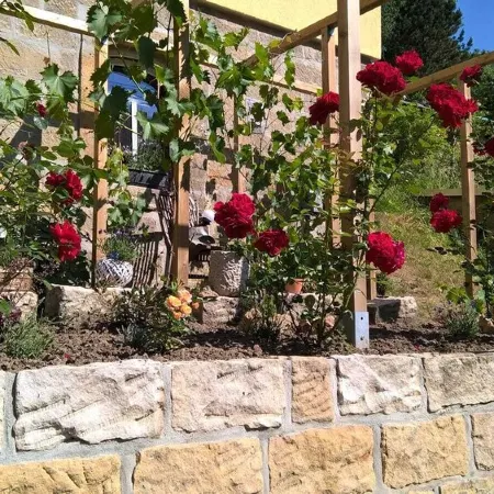 Stylishly furnished apartment in Rathmannsdorf in the Zauketal, allergy sufferers