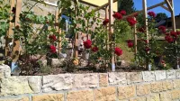 Stylishly furnished apartment in Rathmannsdorf in the Zauketal, allergy sufferers - 3-Star