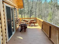 Spacious 5-king bedroom cabin with private bathrooms minutes from Asheville. Hotels in Fairview