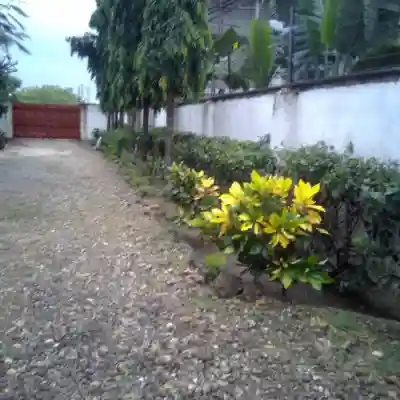 Micmoll Paradise Hotel Exterior