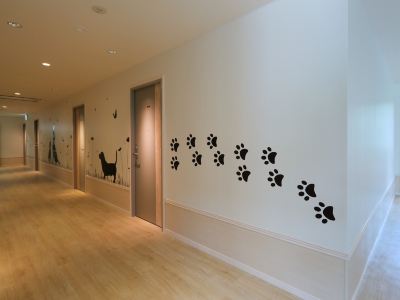 共有エリア 小谷流の里 ドギーズアイランドの写真