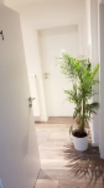 フェリエンウォーニング・ブッシュ