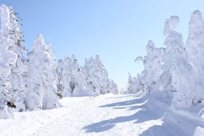 ホテル周辺 湯田中温泉 よろづやの写真