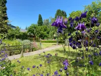 Village House in Leende Near Star Restaurant Hotel a Leende