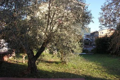 B&B Il Melograno Hotels in Valmontone