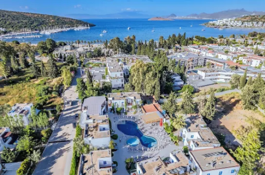 パロマ ファミリー クラブ