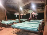 Jungle House