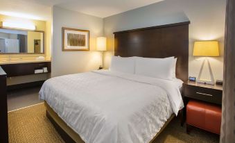 Sonesta ES Suites Orlando - Lake Buena Vista