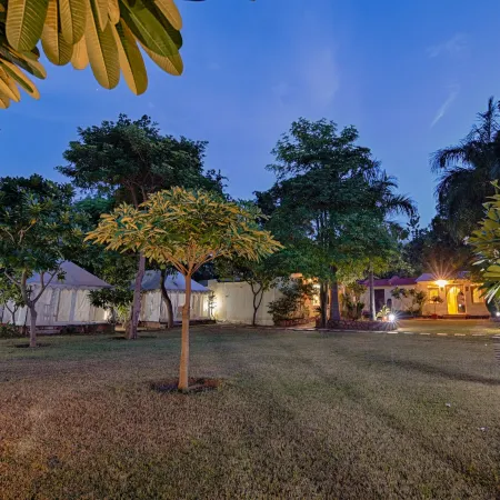 Ranthambore Tiger Resort by Park Tree
