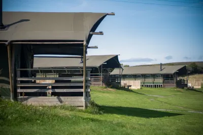 Worms Head Glamping Tent - Llangennith